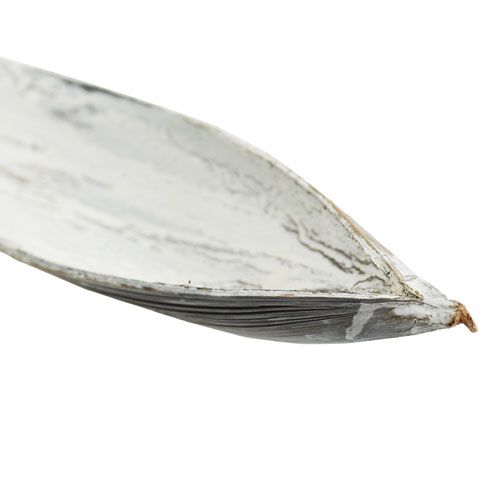 položky Kokosová škrupina kokosový list praný biely 60cm