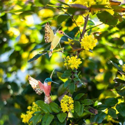 Floristik24 Kolibrík s drôtom 5,5cm L22cm 12ks