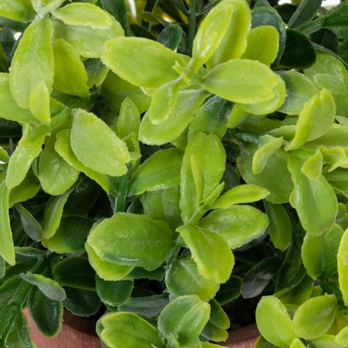 položky Umelá rastlina v kvetináči s realistickou textúrou na vnútorné použitie a dekoráciu, 18 cm, 3 kusy