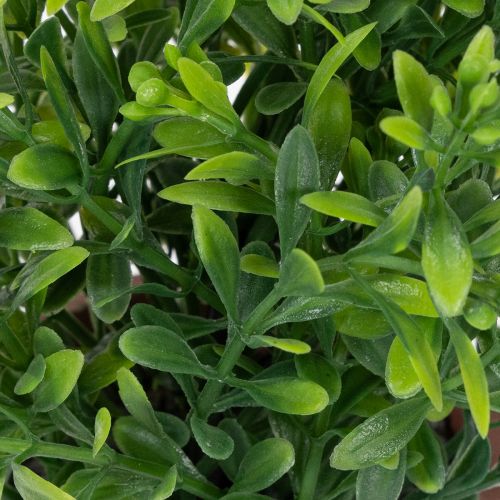 položky Umelá rastlina v kvetináči s realistickou textúrou na vnútorné použitie a dekoráciu, 18 cm, 3 kusy