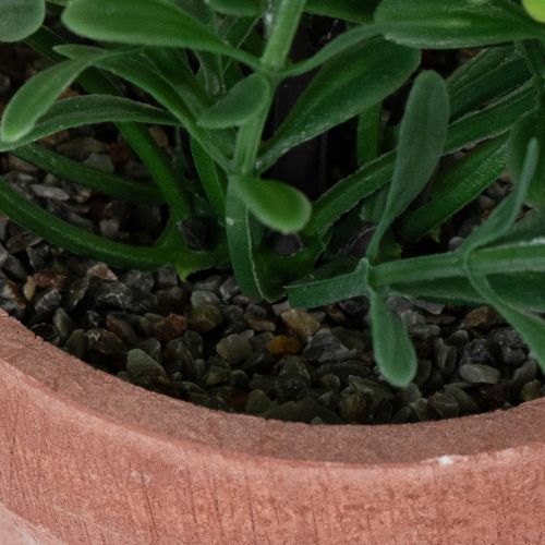 položky Umelá rastlina v kvetináči s realistickou textúrou na vnútorné použitie a dekoráciu, 18 cm, 3 kusy