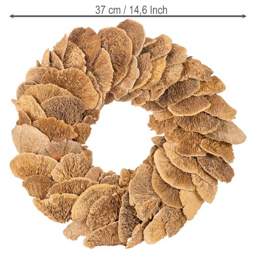 Veniec z húb, prírodná farba, na dekoráciu dverí alebo steny, 37 cm | Floristik24.sk