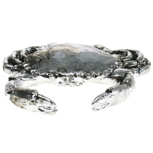 Floristik24 Deco rakovina starostrieborná 12cm