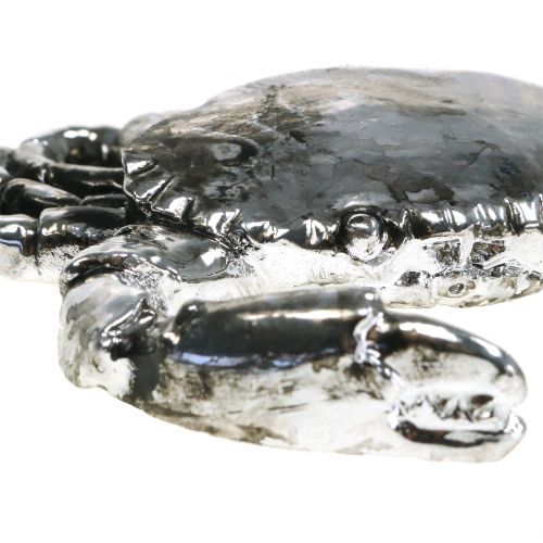 Floristik24 Deco rakovina starostrieborná 12cm