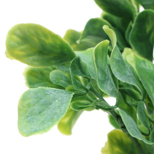 Floristik24 Bazalka vo zväzku umelá zelená 36cm 6ks