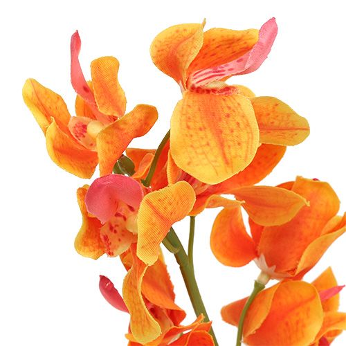 položky Orchidea umelá Mokara Orange 50cm 6ks