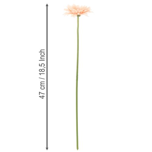 Umelé kvety gerbery marhuľové 47 cm 6 ks | Floristik24.sk