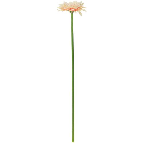 položky Umelé kvety Gerbera Marhuľa 47cm