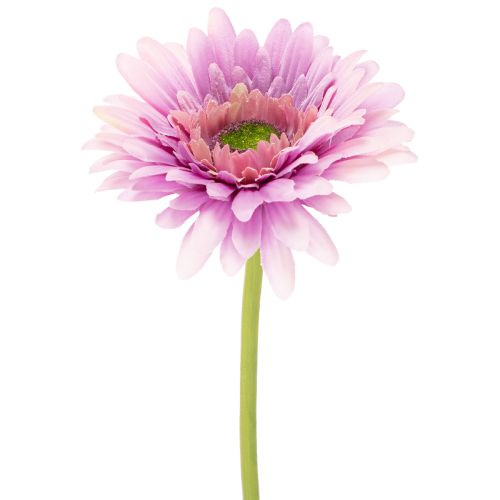 Umelé záhradné kvety gerbery, fialové, 47 cm, 6 kusov kúpiť | Floristik24.sk