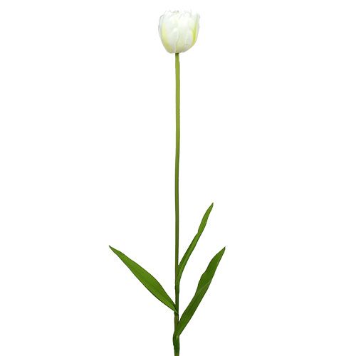 Floristik24 Umelé tulipány bielo-zelené 86cm 3ks