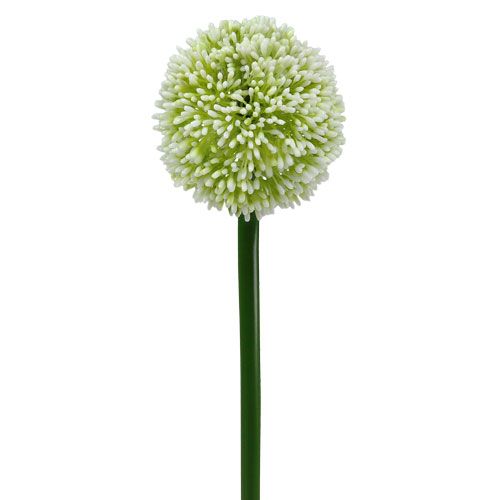 Floristik24 Umelá Allium White Ø10cm L65cm