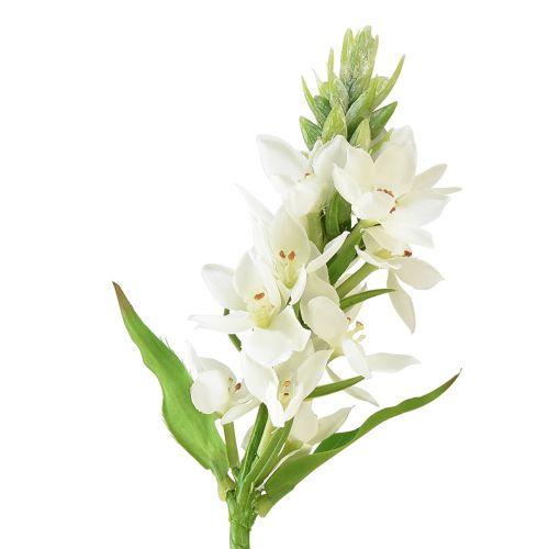 Umelý kvet mliečna hviezda biela 50cm