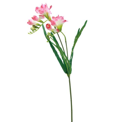 položky Umelé záhradné kvety Frézia ružová 58cm