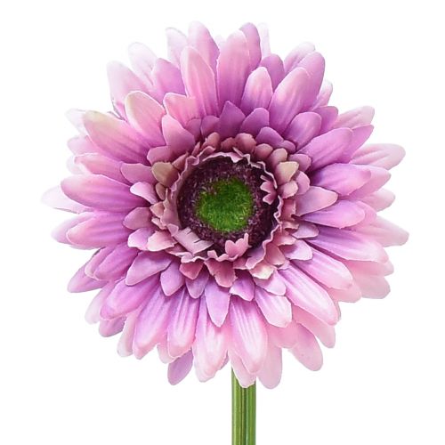 Umelé kvety Gerbera fialová 47cm