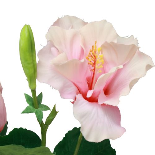 položky Umelé kvety Ibištek ružový 62cm