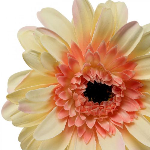 položky Umelý kvet gerbery umelý kvet marhuľa Ø11cm L50cm