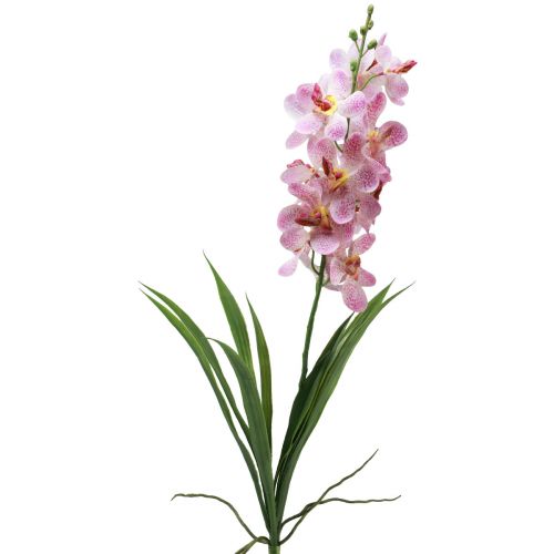 položky Umelá orchidea Ružovobiela Umelá kvetina Orchidea 73cm