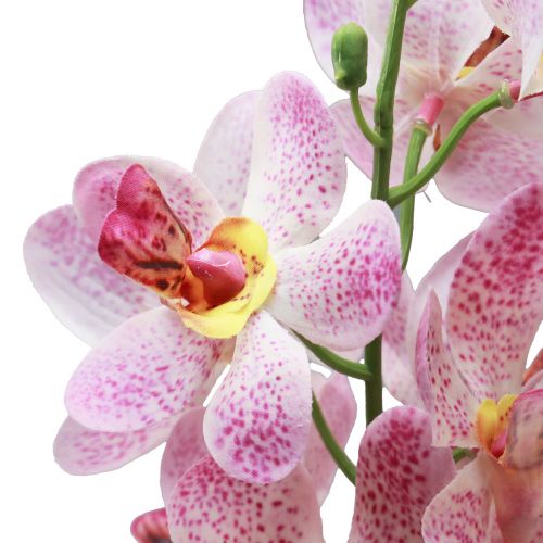 položky Umelá orchidea Ružovobiela Umelá kvetina Orchidea 73cm