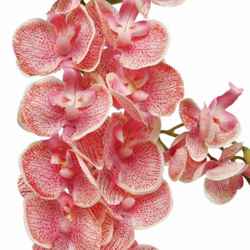 položky Umelé orchidey deco umelý kvet orchidea ružová 71cm