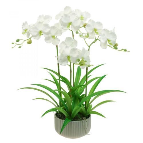položky Umelé orchidey umelé kvety v bielom črepníku 60cm
