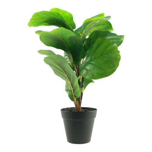Floristik24 Umelá rastlina v kvetináči Ficus umelá rastlina v kvetináči 42cm