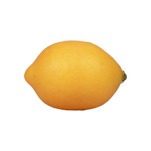 Floristik24 Umelé citrónové dekoratívne atrapy potravín oranžové 8,5 cm