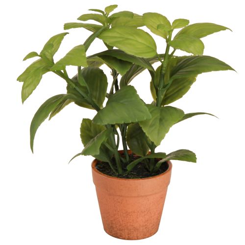 Umelá bazalka v črepníku Herb Črepník Umelá rastlina 22cm 2ks