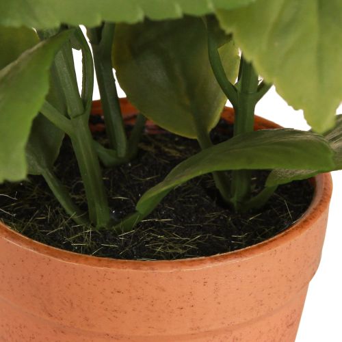 položky Umelá bazalka v črepníku Herb Črepník Umelá rastlina 22cm 2ks