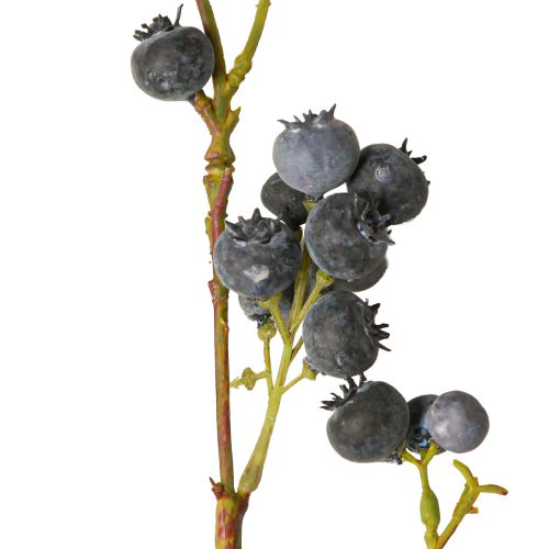 položky Umelý dekoratívny konár s imitáciou čučoriedok