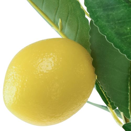 položky Umelý citrónovník v kvetináči Mediterranean H58cm