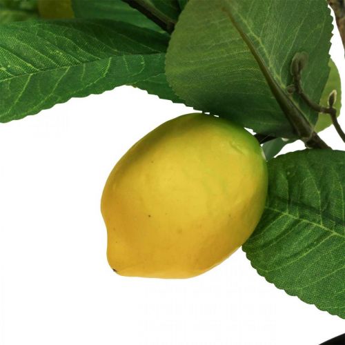 položky Umelý citrónovník v kvetináči Lemon tree H65cm