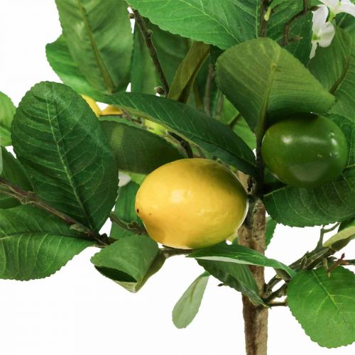 položky Umelý citrónovník v kvetináči Citrónovník V57cm