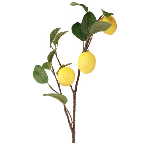 Floristik24 Umelá citrónová vetvička dekoračná vetvička s 3 žltými citrónmi 65cm