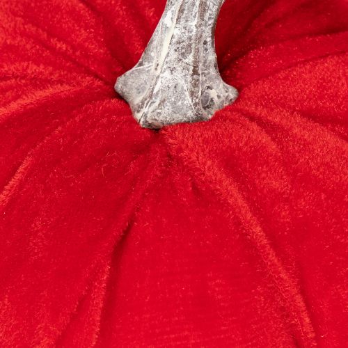 Tekvica ako dekorácia na stôl, jesenná dekorácia, 13 cm, 3 kusy | Floristik24.sk