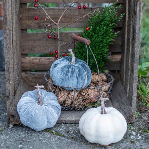 položky Tekvicová dekorácia jesenná béžová sivá vločkovaná V11cm Ø12cm 3 ks