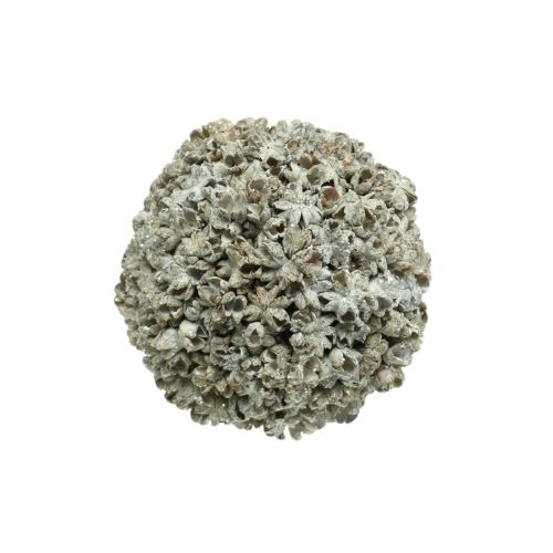 Floristik24 Vianočná dekorácia Vianočná guľa biela snehová guľa Ø10cm