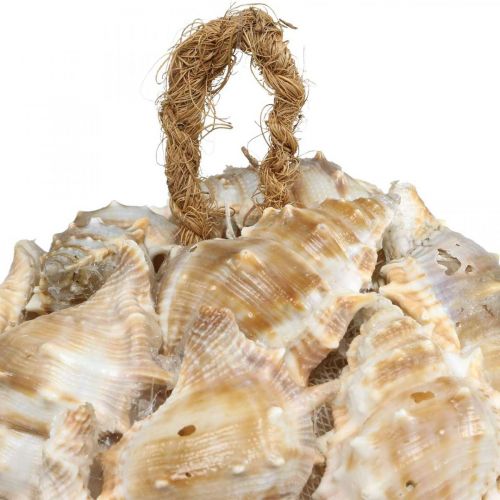 položky Dekoratívna guľa slimáčie mušle mušle dekorácia závesná prírodná Ø12cm