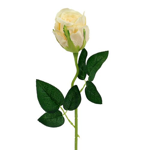 Floristik24 Umelé kvety ruža krémová Ø6cm L50cm 6ks