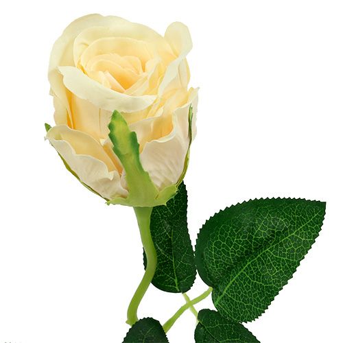 položky Umelé kvety ruža krémová Ø6cm L50cm 6ks
