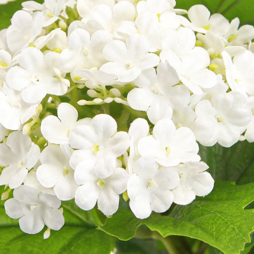 položky Umelé kvety Snehová guľa Viburnum Umelá biela 60cm 4 ks