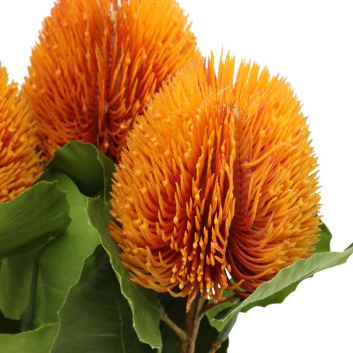 položky Umelé kvety, Banksia, Proteaceae Pomaranč L58cm V6cm 3ks