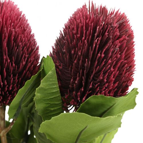 položky Umelé kvety, Banksia, Proteaceae vínovo červené L58cm V6cm 3ks