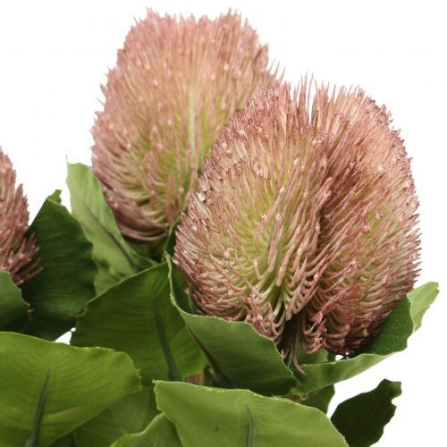 položky Umelé kvety, Banksia, Proteaceae bielo-fialové L58cm V6cm