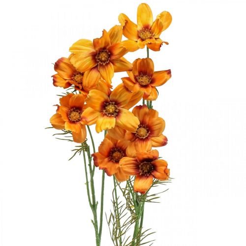 Floristik24 Umelé kvety Cosmea Orange košík na šperky V51cm 3ks