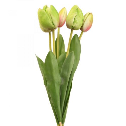 Floristik24 Umelé kvety tulipán zelený, jarný kvet 48 cm zväzok 5 ks