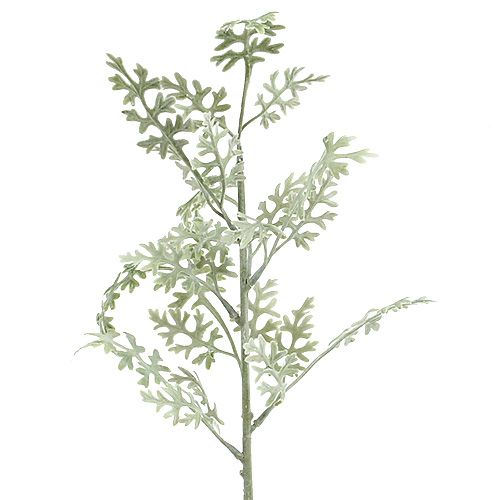 Floristik24 Umelé rastliny strieborný list bielo-zelený 40cm 6ks