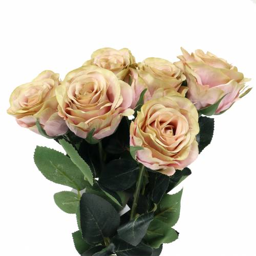 Floristik24 Umelá ruža plnená krémová, ružová Ø6cm L37cm 6ks