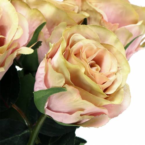 položky Umelá ruža plnená krémová, ružová Ø6cm L37cm 6ks