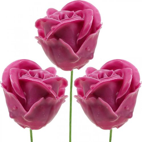 Floristik24 Umelé ruže fuchsiové voskové ruže deko ruže vosk Ø6cm 18 kusov