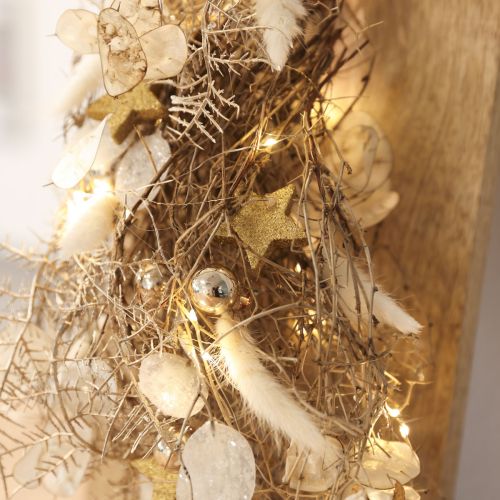 Sušené kvety Lagurus Natural – nadýchaná tráva z králičieho chvosta v krémovo-bielej 55-70 cm 100 g | Floristik24.sk